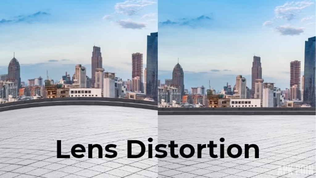 Lens Distortions